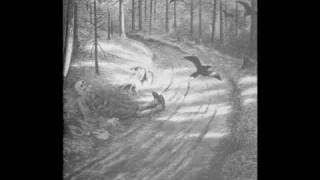 Burzum-Aerseth Heimr Helvette.wmv