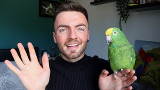 CRAZY TALKING PARROT! | How to train your parrot to talk on cue!