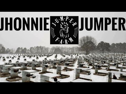 JHONNIE JUMPER (JUMPER FARM)