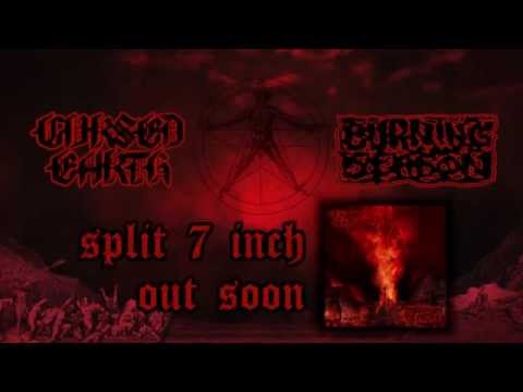 Burning Season/Cursed Earth Split Teaser