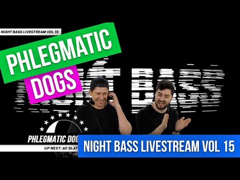 Phlegmatic Dogs // Bass House Mix Live From Russia