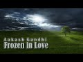 Aakash Gandhi Frozen In Love