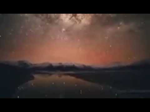 Daniel Harrison - Miami Strings (Official Video)