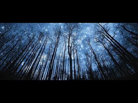 Lost Sky   Dreams 8D Music (Headphones recommended)