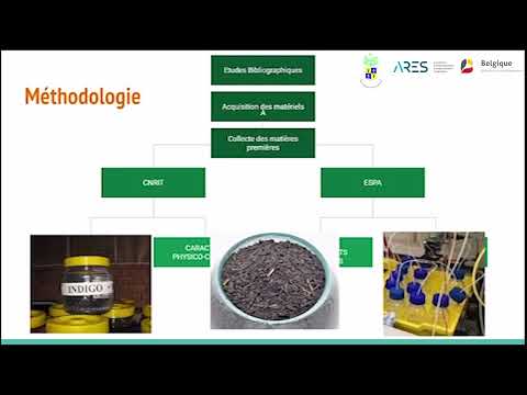 Indigo écologique : l'économie circulaire à travers la chimie des colorants, la fertilité des sols et l'énergie renouvelable 