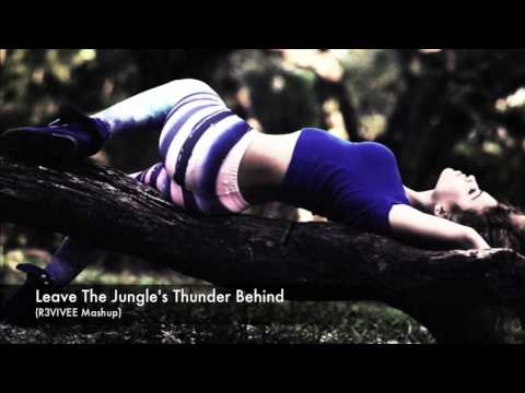 Best 2014 House MASHUP: Alvaro & Mercer ft. Lil Jon Vs W&W Thunder (R3VIVEE Mashup)