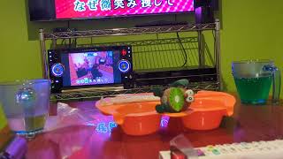 【街】を歌うぺすいのinまねねこ会（2509）