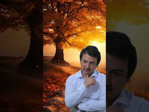 @rahmatilloyusupov044