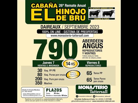 07/09/23 - Remate El Hinojo de Bru - Día 1 -  Buenos Aires - MONASTERIO TATTERSALL S.A.