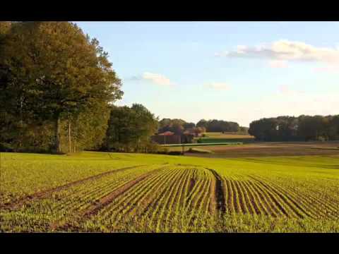 ALAM LOHAR   MIRZA DEKH SHABIR NU  ALAM LOHAR ‏   YouTube