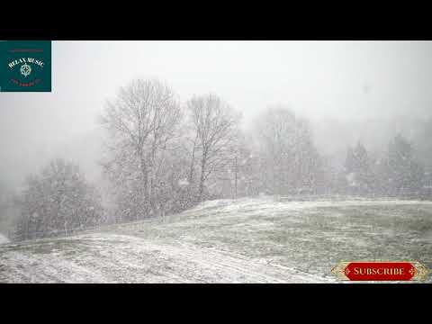 Snow fall || NDF MUSIC OFFICIAL || no copyright.