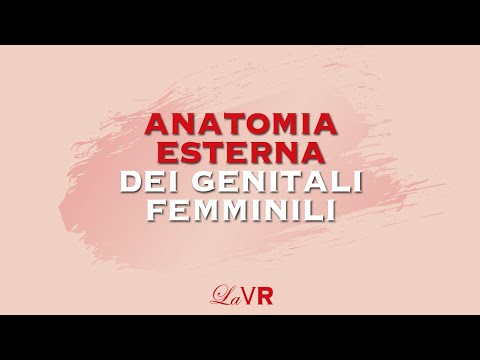 Vassoi per mani a eczema secco Classificazione di definizione di psoriasi