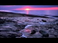 Sebastian Brandt vs Andain - Ashes Beautiful ...