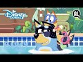 Bluey | ? Chilli’s Beste Momenten | Disney Channel NL