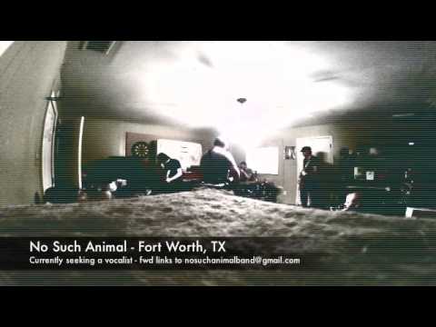 No Such Animal - Seeking a Vocalist - Fort Worth, TX