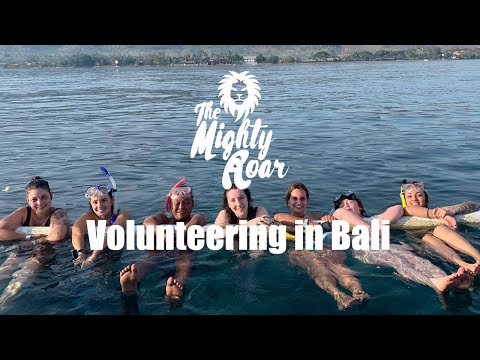 Volunteering in Bali