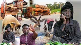 Download lagu Real Hunter!:- As A Smuggler Of Timber Wood, I Have Encountered Real Witches Several Times! Narrates mp3