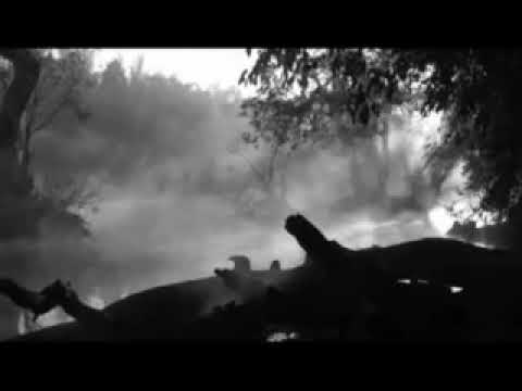 banla ke das ko sathi bigdla ke koi na