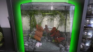 Saving a beautiful aquarium from trash