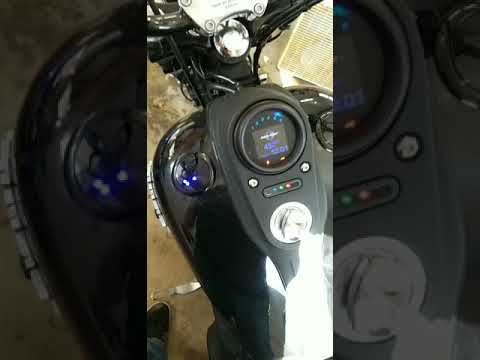 Harley street bob with Dakota gauge and harley flush mount led gas cap