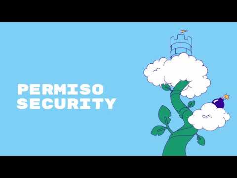 Permiso Overview