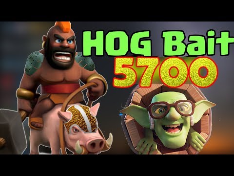 PRO DECK !!! Best HOG BAIT DECK for Counter Meta - Clash Royale
