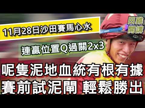 【賽馬貼士】香港賽馬 11月28日 沙田馬場 連贏位置Q過關2x3| 呢隻泥地血統有根有據賽前試泥閘 輕鬆勝出