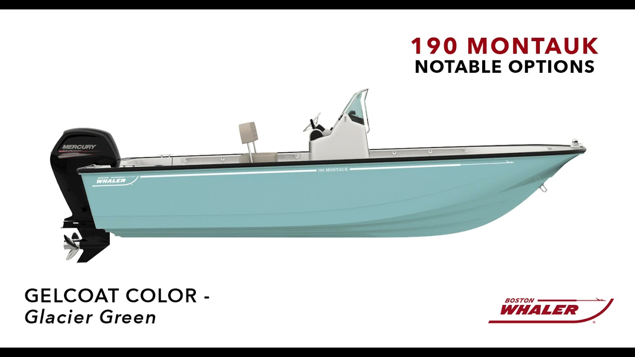 2027 Boston Whaler 190 Montauk   - New and Used Boats For Sale in Canada - M&P Boat Centre – Burnaby [69094a9c9cdfdb022b0f78c0]