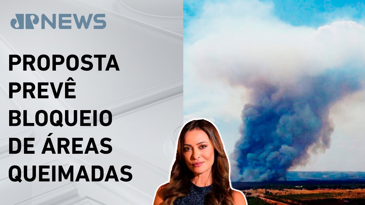 Governo quer decreto contra grilagem de terra queimada; Patrícia Costa explica