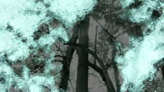 The Casket Lottery "In The Branches" taken from Real Fear out November 6th