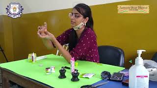 SR Capital Public School Video