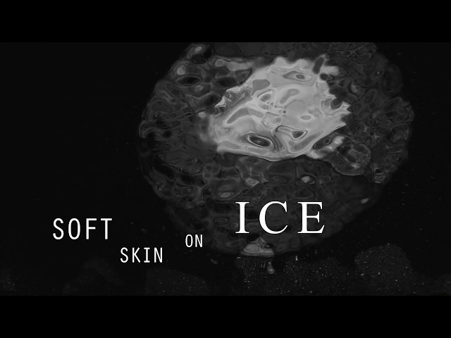  ICE (Lyric) - Sam Wickens