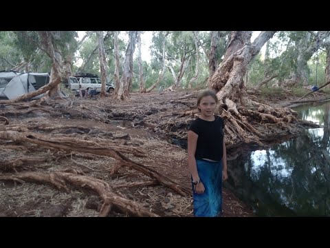 The Pilbara's Hidden Destinations | Part 1 - Carawine Gorge & Running Waters