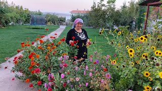 MİS GİBİ ÇİÇEK BAHÇESİ BAHÇE DEDİĞİN BÖYLE OLUR MAŞALLAH