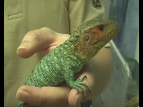 YouTube Video Kywd07xLy4M