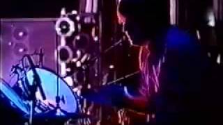 Sonic Youth - Junkie&#39;s Promise Live
