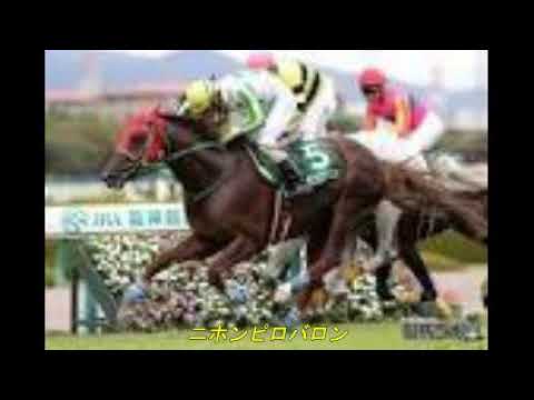 2018/12/22 中山 10R 中山大障害（Ｊ．ＧⅠ）