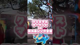 #ポケモン #pokemon #vtuber #vlog #クリスマス #クリスマスマーケット #christmas #旅行 #横浜赤レンガ倉庫 #横浜 #ポケモンza #shorts