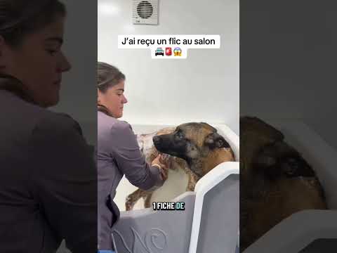 J’ai reçu le chien d’un flic