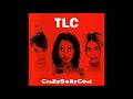 TLC - Case Of The Fake People