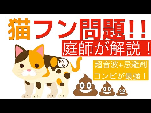 庭の猫の排泄物 - 近所の猫が庭で排泄した場合はどうすればよいですか?