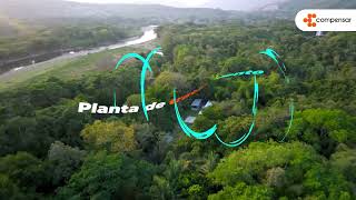 Hotel y Parque Acuático Lagosol, un destino amigable con el planeta | Compensar
