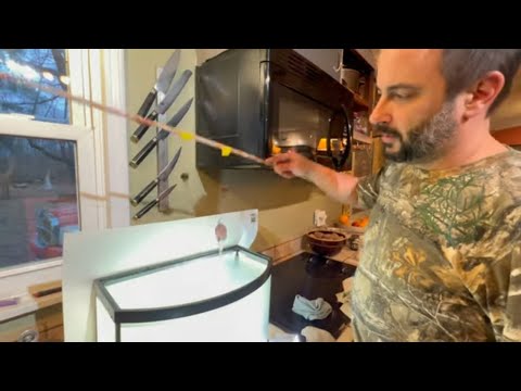 Best Grocery store CATFISH Bait!