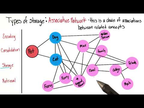 連想ネットワーク - 心理学入門 (Associative network - Intro to Psychology)