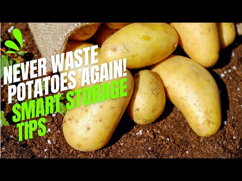 Extend Your Potatoes' Shelf Life with These Tips!