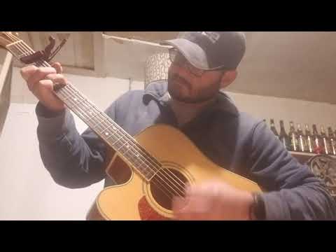 The Trees Know Everything