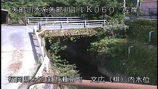 動画のサムネイル