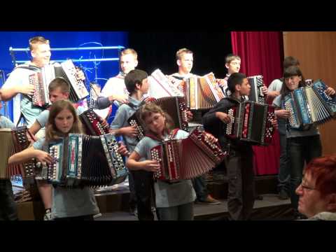 Orkester harmonikarjev Janeza Lekšeta-Ti nisi taka (v živo)