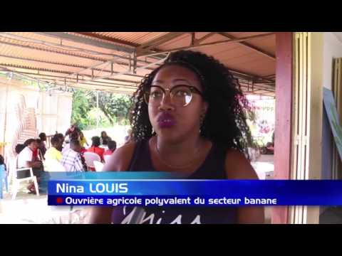 Formation qualifiante pour les futurs ouvriers de la banane en Guadeloupe
