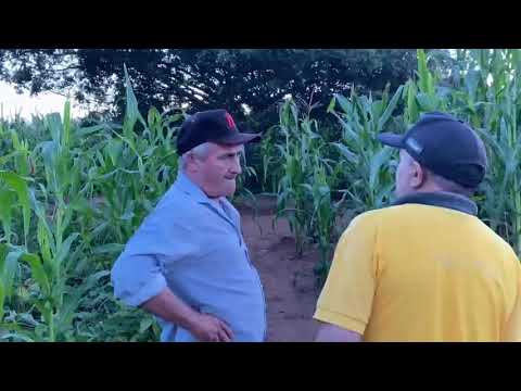 ROÇA SE SEU ZÉ DE GENIO - SITIO FORMOSO DOS ROBERTOS, VENHA - VER/RN